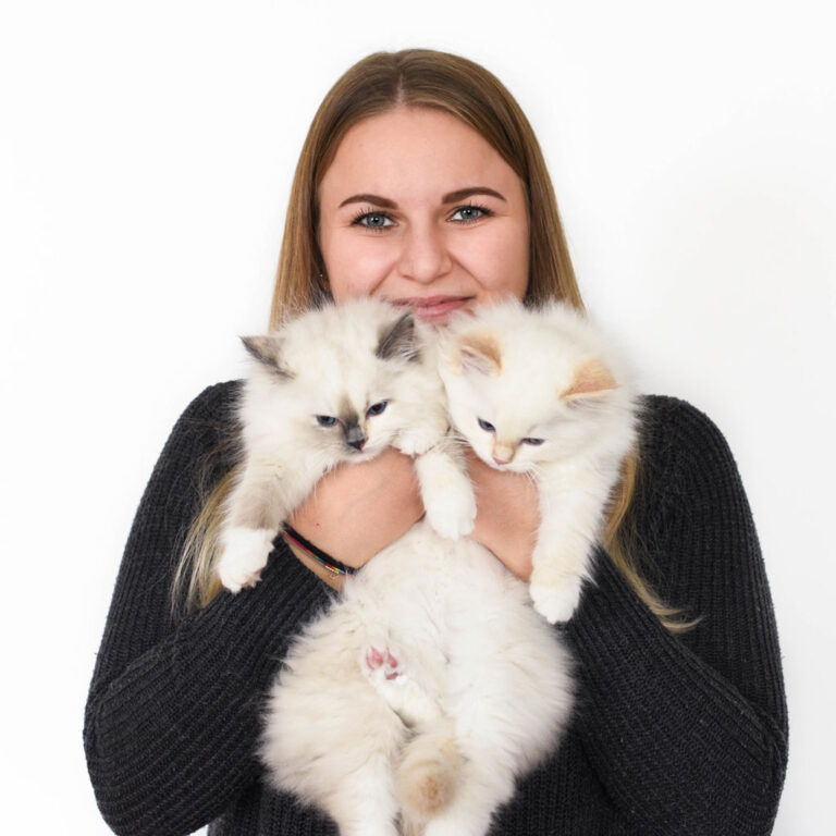 Wer wir sind Lumienkeli Ragdolls